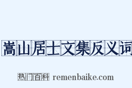 嵩山居士文集反义词是什么意思的图片